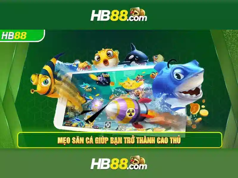 Hỗ trợ khách hàng và thanh toán