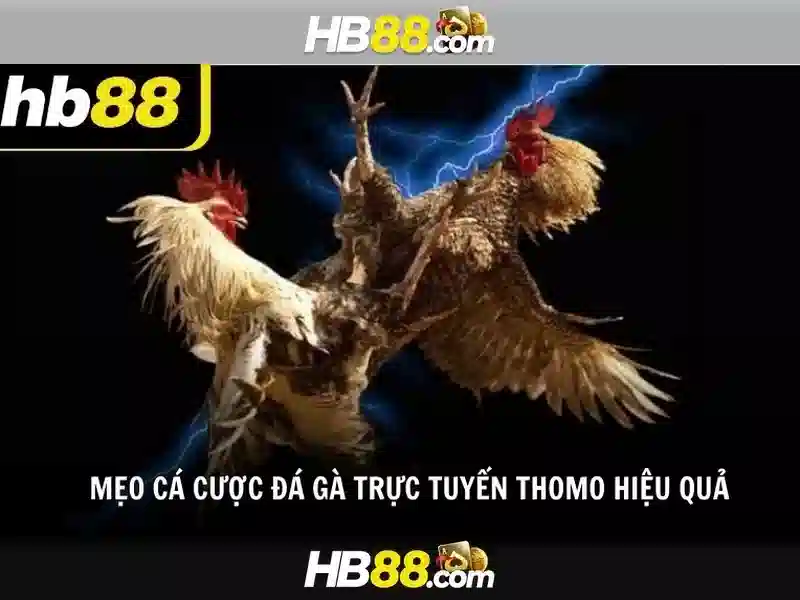 Nguồn gốc và sứ mệnh của hb88