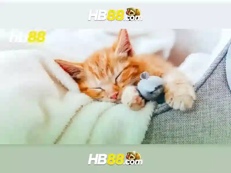 Các tính năng nổi bật