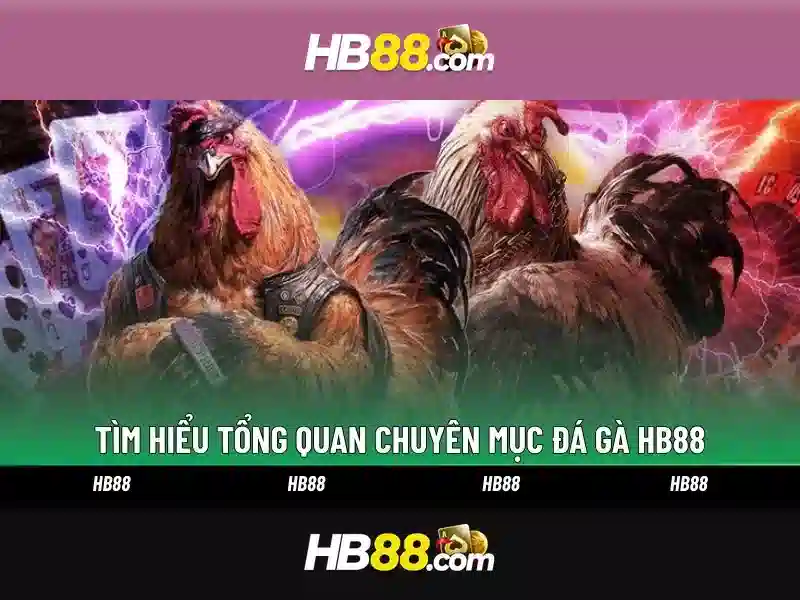 hb88 - Đánh giá và hướng dẫn tham gia nền tảng cá cược trực tuyến