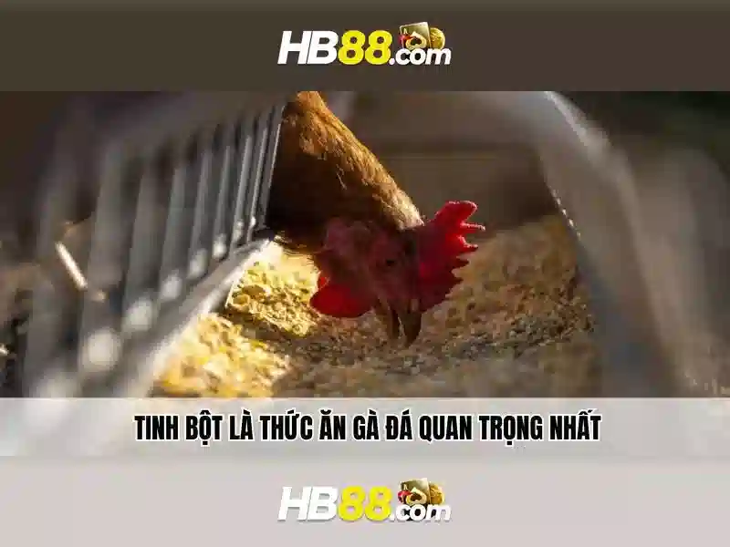 An toàn và bảo mật