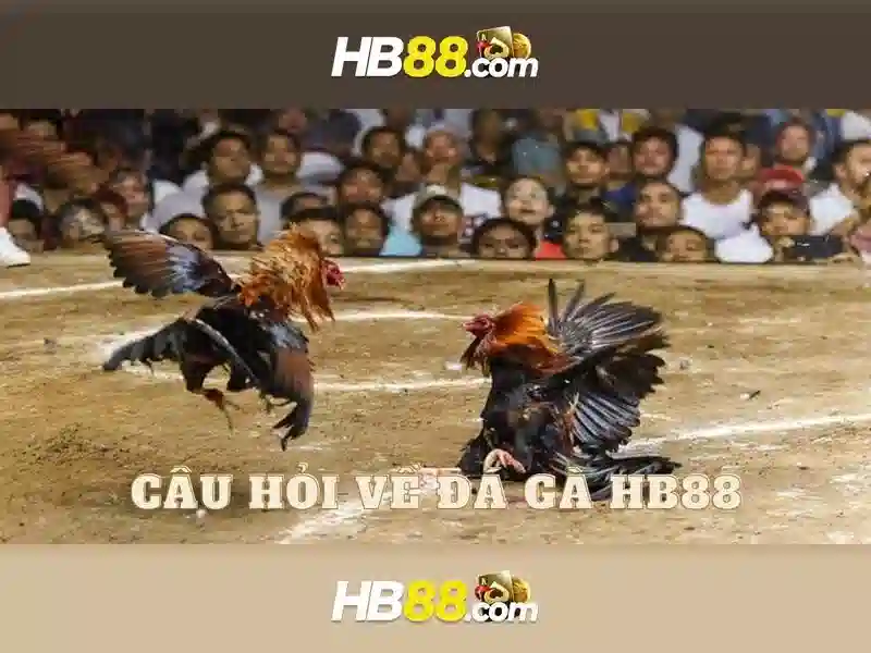 hb88 hb888 casino – Tổng quan và trải nghiệm tối ưu