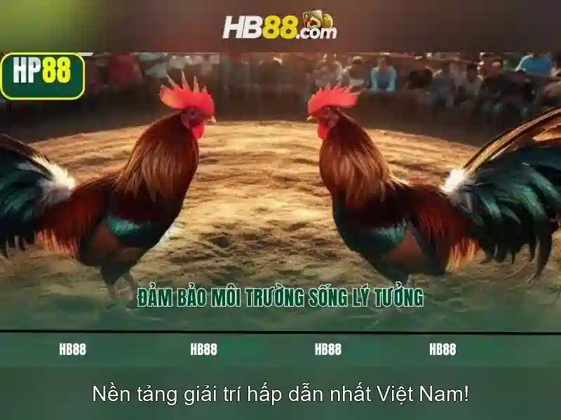 HB88: Đánh giá và trải nghiệm người chơi