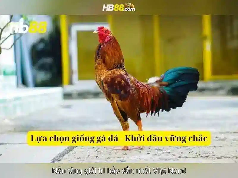 hb88: Báo cáo tổng quan và hướng dẫn