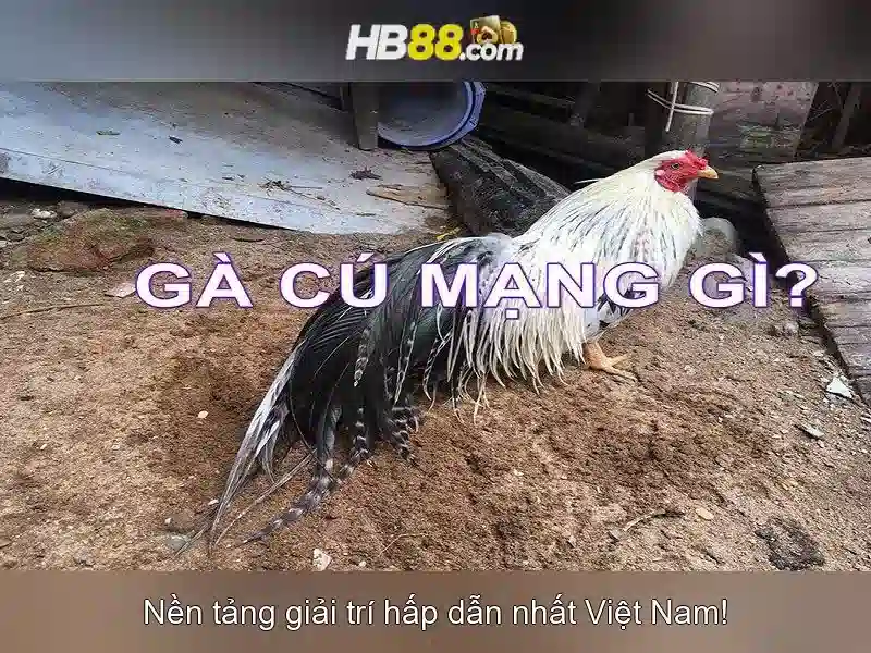 hb88: Nền tảng cá cược trực tuyến an toàn và đa dạng