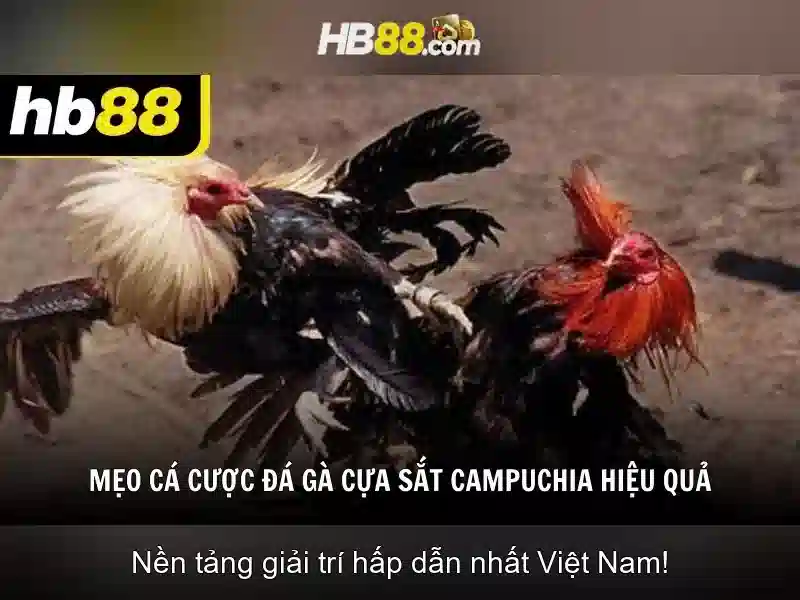 Hb88 là gì?
