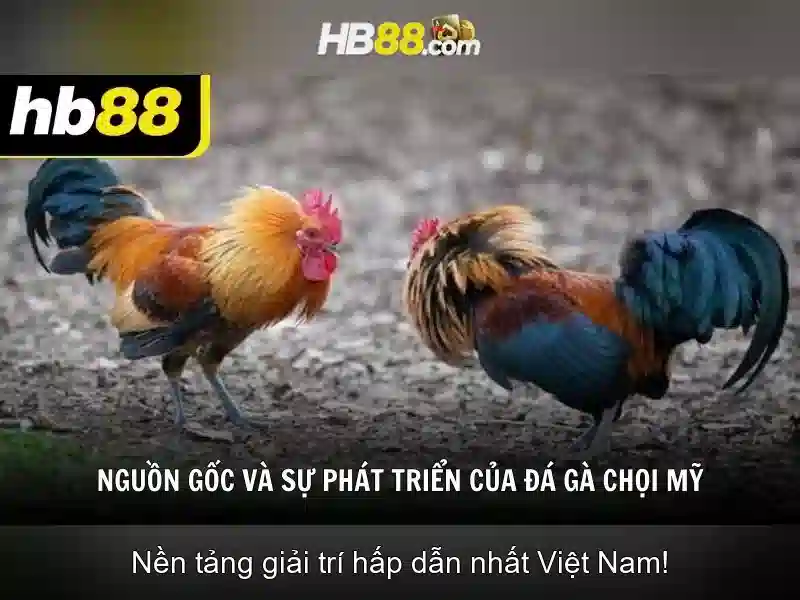 HB88: Một cái nhìn tổng quan về nền tảng cá cược trực tuyến
