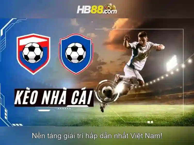 HB88 là gì? - Giới thiệu về nền tảng cược trực tuyến