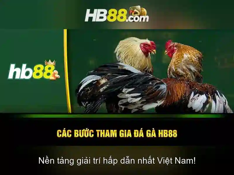 hb88: Giới thiệu tổng quan và mẹo sử dụng