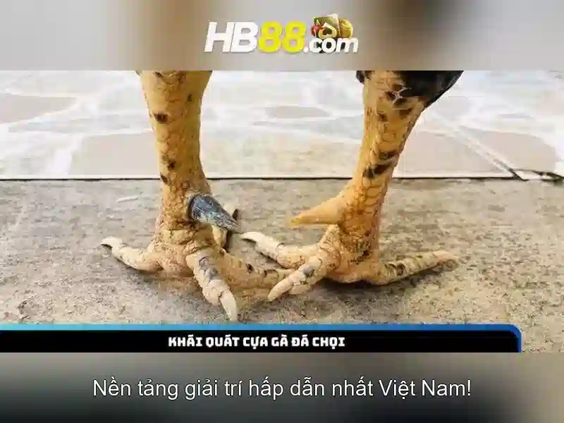 Hb88: Tổng quan và ảnh hưởng trong ngành cá cược trực tuyến