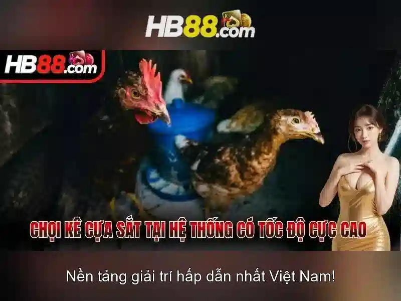 Đánh giá tổng quan về HB88