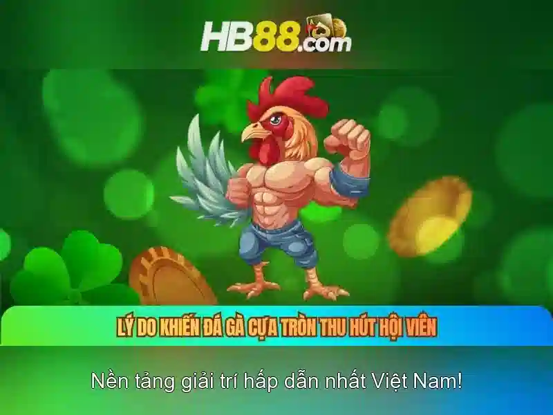 HB88: Nền tảng giải trí trực tuyến