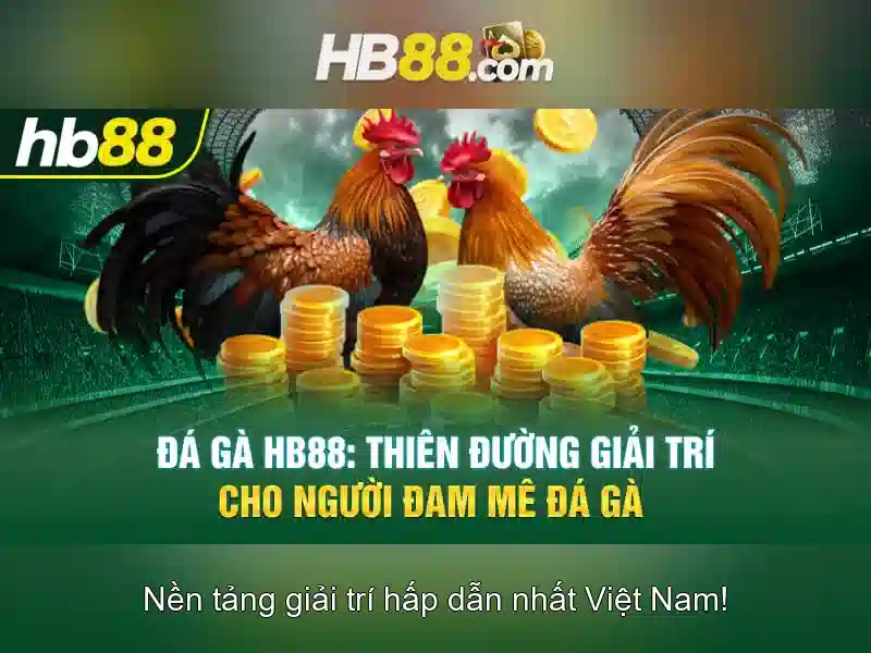 Hb88: Tổng quan về nền tảng cá cược trực tuyến an toàn và tiện lợi