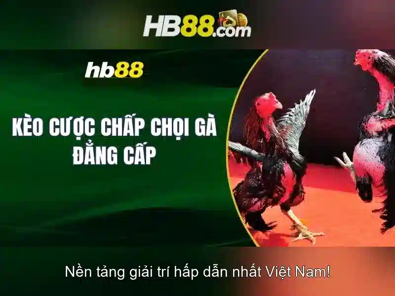 Các trò chơi và tính năng