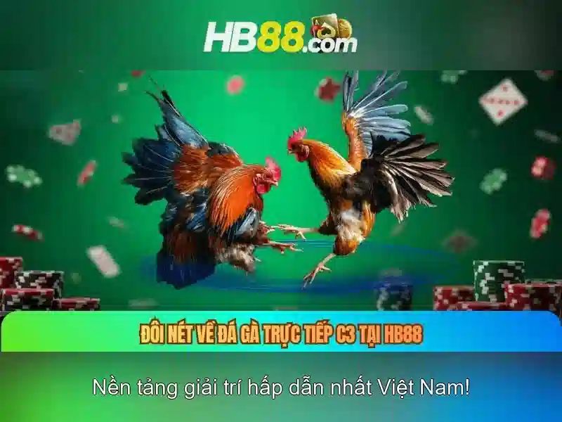 hb88 nét – Trải nghiệm đỉnh cao và tầm ảnh hưởng toàn cầu