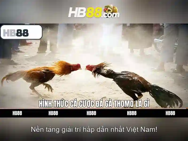 hb88 gg sân chơi: Trải nghiệm đỉnh cao và câu chuyện thương hiệu
